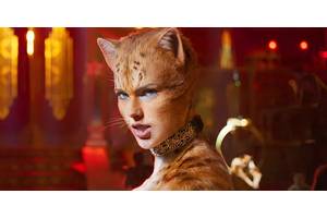 What Is A Jellicle Cat? The Musical Feline Explained