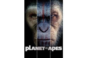 The Best Planet Of The Apes Movie Still Hasn’t Been Topped, But I’m Confident Disney’s Next Sequel Can Do It