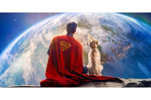 Superman Knows Krypto Is a Good Boy, And DC Wants the Whole World to Know