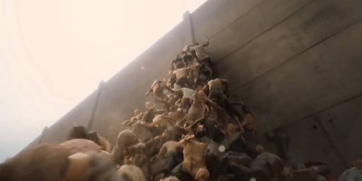 How World War Z Originally Ended (& Why It Was Changed)