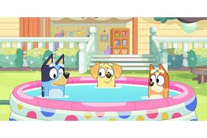 All 20 Bluey Shorts Ranked (& Where To Watch The Minisodes Online)