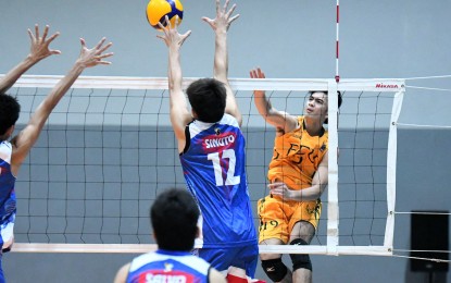 Tamaraws notch 2nd win in V-League