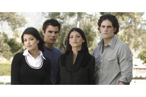 Why Wildfire Season 5 Never Happened (Even When It Should Have)