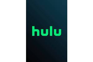 The 30 Best TV Shows On Hulu (April 2025)