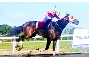 Istolen Ola rules Philracom Commissioner Lantin Cup