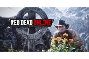 "Its Dedicated Fanbase Is Feeling Overlooked & Dissatisfied": Petition To "Save" Red Dead Online Reaches Over 350 Signatures In Less Than A Day