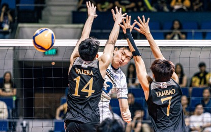 <p><strong>POWER SPIKE.</strong> National University's Jenngerard Diao (No. 23) scores against University of Santo Tomas' Trevor Valera (No. 14) and Dux Euan Yambao (No. 7) during the UAAP Season 87 men’s volleyball tournament at the Smart Araneta Coliseum in Quezon City on Sunday (March 16, 2025). The Bulldogs won, 16-25, 25-20, 25-21, 29-27, to end the first round at 6-1.<em> (UAAP photo)</em></p>