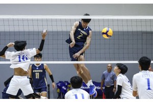 Bullpups, Junior Warriors triumph in UAAP boys volleyball