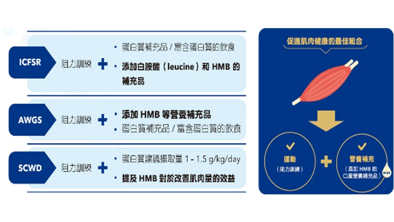阻力訓練＋蛋白質補充＋醫學實證HMB營養品