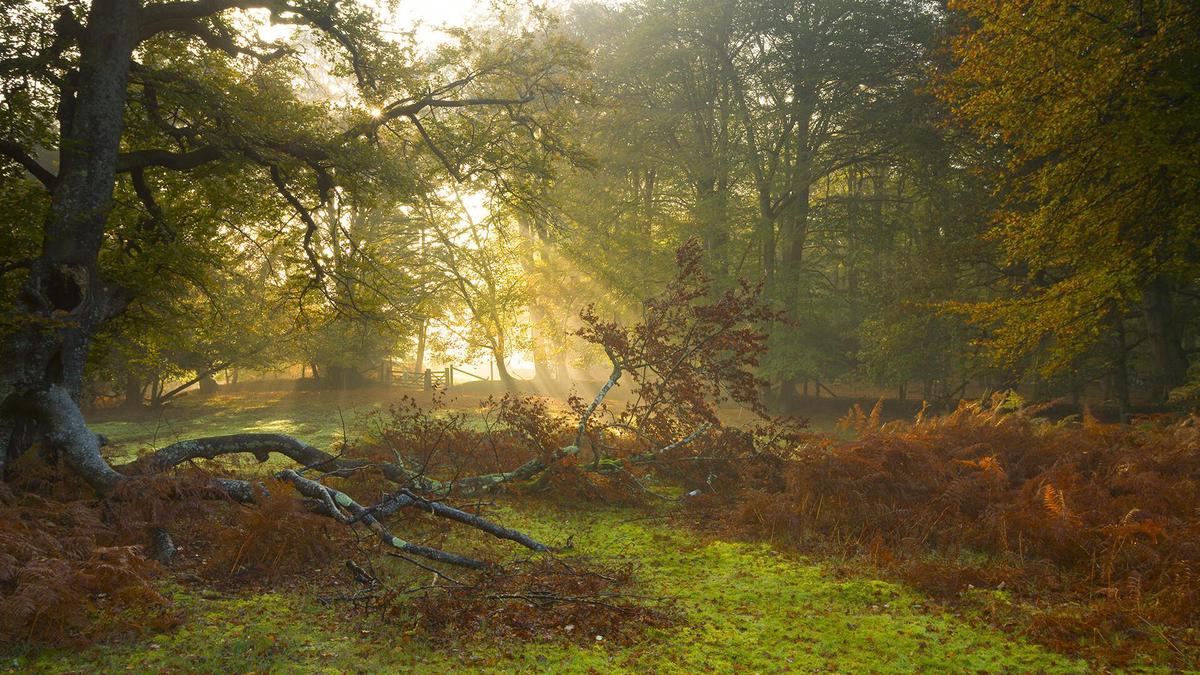 儿童怎样才能瘦下来（儿童怎样才能瘦下来怕运动）