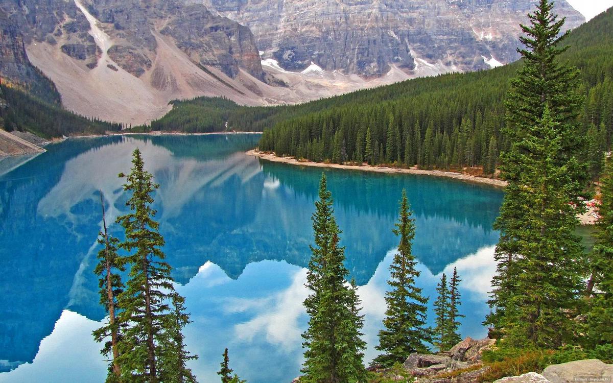 什么方法瘦脸最快最有效（什么办法瘦脸最有效）