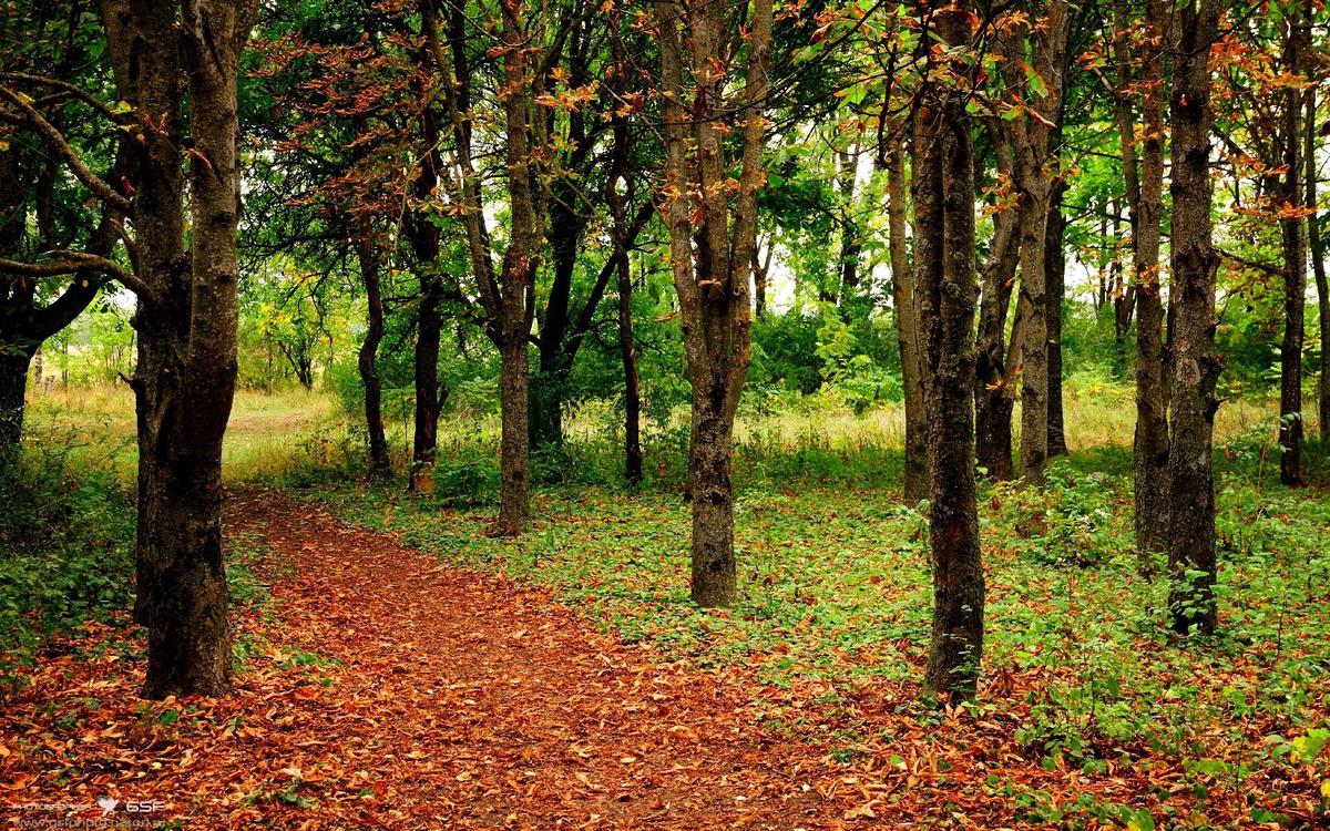 减肥快速方法（减肥快速方法有用吗）