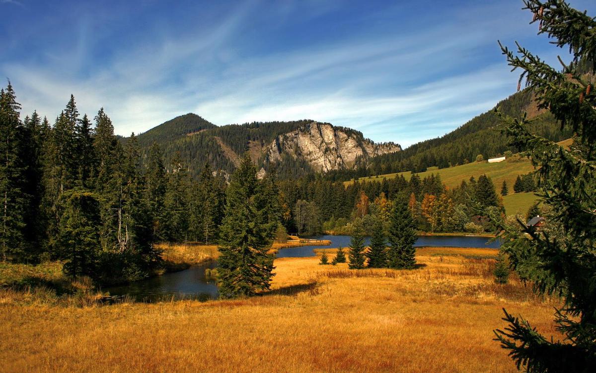 怎么瘦大腿最快最有效（怎么瘦大腿最快最有效视频）