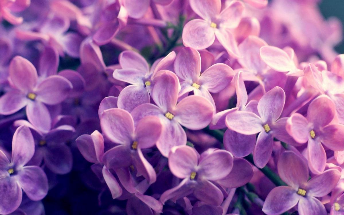 跳绳减肥的正确方法一天跳多少能达到效果（跳绳减肥的正确方法一天跳多少能达到效果伏我撑）