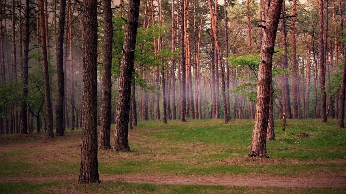 打瘦脸针好不好（打瘦脸针好不好?）