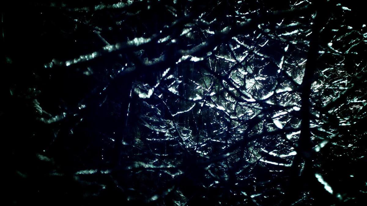 腰腹赘肉多久能减下去（腰腹赘肉的最有效锻炼方法）