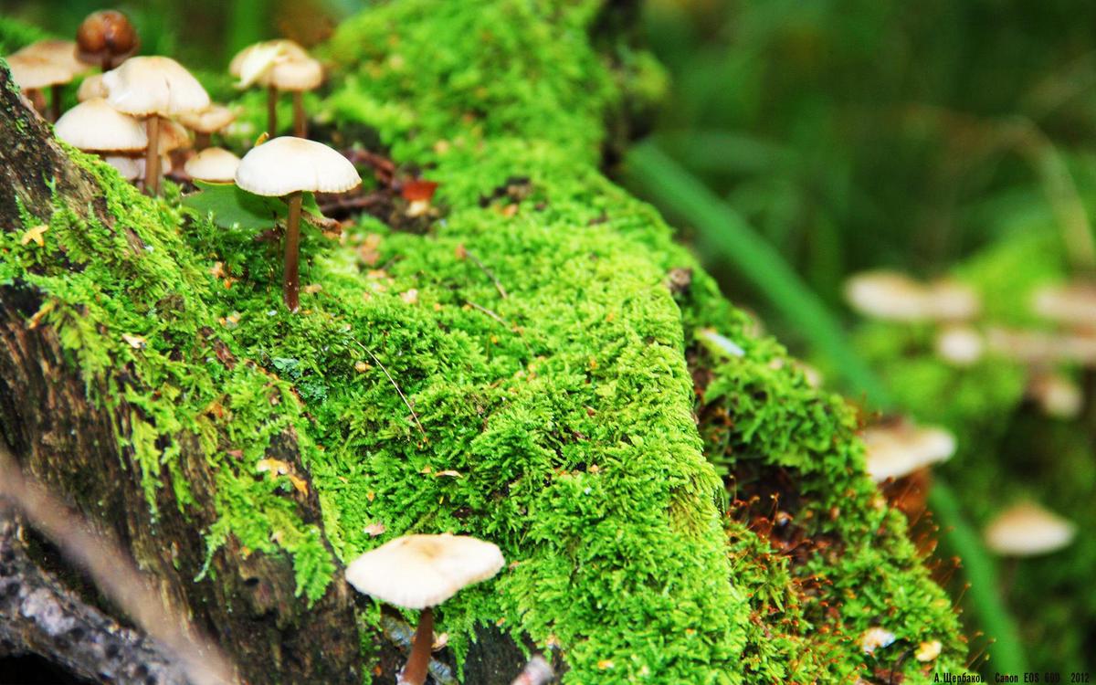 减脂期外面吃早餐可以吃什么（减脂期外面吃早餐可以吃什么东西）