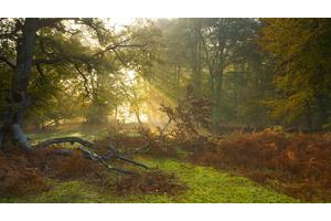 儿童怎样才能瘦下来（儿童怎样才能瘦下来怕运动）