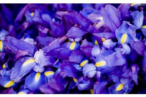 哪种瑜伽瘦身最快（什么瑜伽瘦的最快）