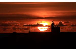 仁和牌左旋肉碱效果怎么样（仁和牌左旋肉碱减肥药有效果吗）