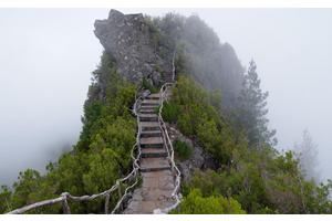 减脂一日三餐怎么搭配（减脂一日三餐怎么搭配最好）