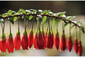 快速瘦手臂的方法3天（5分钟快速瘦手臂视频）