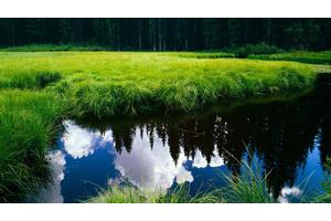 甩脂机最佳使用方法（甩脂机最佳使用方法图解）