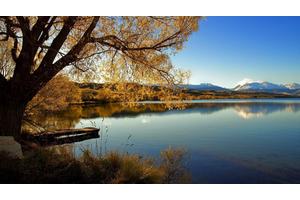 自制减肥茶排行榜（自制减肥茶配方有哪些）