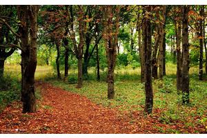 瘦身软件哪个最好（最火的瘦身软件是哪个）