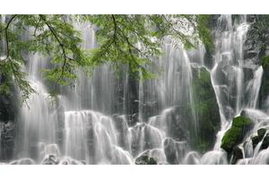 如何利用大姨妈减肥（怎样利用大姨妈减肥）