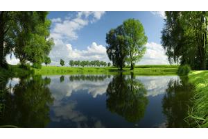 快速减肥瘦肚子小妙招（快速瘦肚方法）