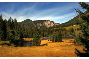 怎么瘦大腿最快最有效（怎么瘦大腿最快最有效视频）