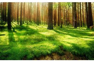 减肥忌讳吃什么东西（减肥忌讳吃什么东西）