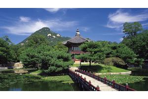 郑多燕最新瘦腰瘦肚子（郑多燕瘦腰瘦肚子视频中文版）