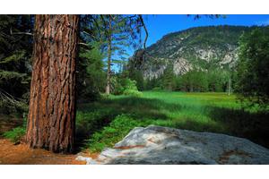 瘦脸针打多了会怎么样（瘦脸针打多了会怎么样）