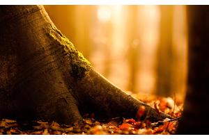 溶脂针失败毁容图片（溶脂针失败的症状）