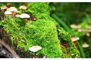 身体瘦下来的5个征兆（身体瘦下来的5个征兆图片）