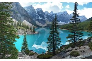 瘦身药（瘦身药排行榜第一名）