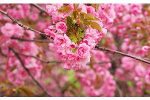 如何科学有效的瘦腿（如何科学有效的瘦腿动作）