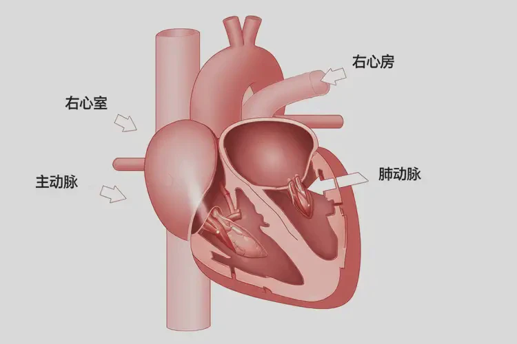 怀孕20多天胎心90左右正常吗(图1)
