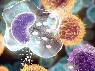 自由基可致阴阳失衡 多食抗氧化食物保健康-第1张图片-就爱百科