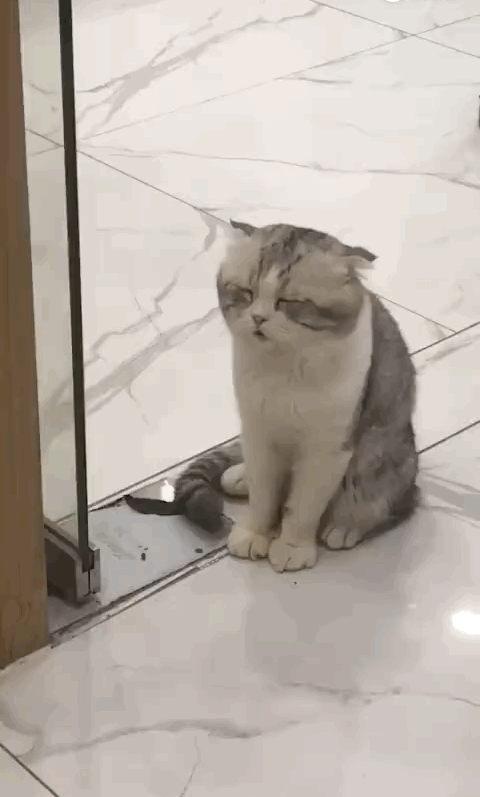 90后们知道的日常养生方式有哪些?-第3张图片-就爱百科 90后们知道的日常养生方式有哪些?-第3张图片-就爱百科