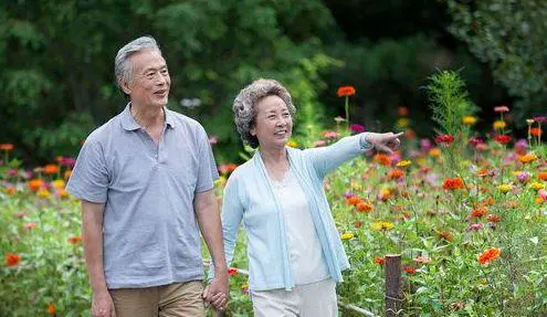 饭后养生常识:抓住5个黄金“小妙招”,这么做胃好命长 -第1张图片-就爱百科 饭后养生常识:抓住5个黄金“小妙招”,这么做胃好命长 -第1张图片-就爱百科