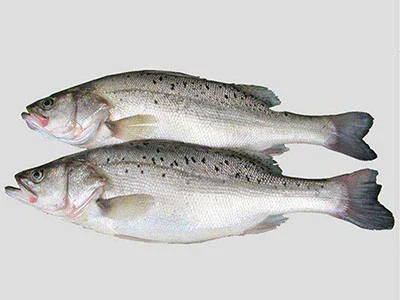 鱼肉美味易消化 营养丰富滋补佳-第1张图片-就爱百科