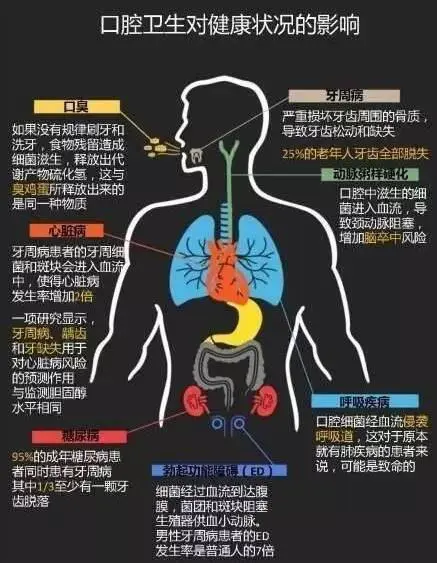 5个口腔卫生常识,能极大改善你的健康,但80%的人都不知道 -第8张图片-就爱百科 5个口腔卫生常识,能极大改善你的健康,但80%的人都不知道 -第8张图片-就爱百科