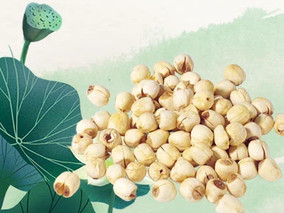 暑热退去秋渐浓 莲子成熟话养生-第1张图片-就爱百科