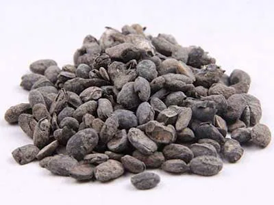 亦食亦药淡豆豉-第1张图片-就爱百科