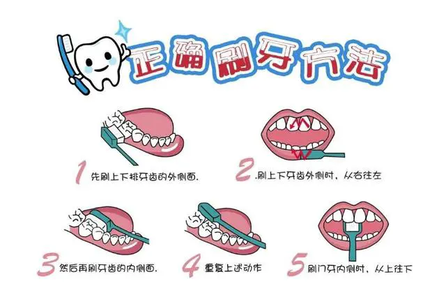 5个口腔卫生常识,能极大改善你的健康,但80%的人都不知道 -第4张图片-就爱百科 5个口腔卫生常识,能极大改善你的健康,但80%的人都不知道 -第4张图片-就爱百科