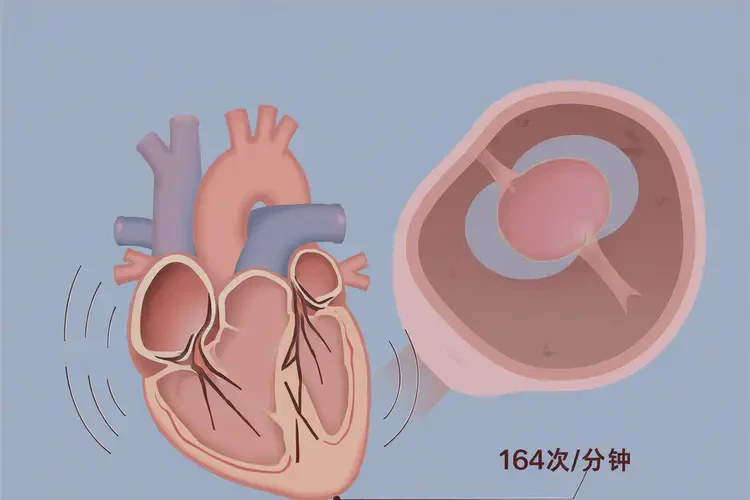 怀孕五个半月胎心164正常吗(图3)