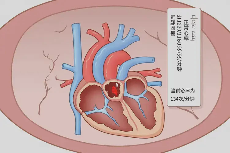 孕32周胎心134正常吗(图2)